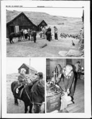Síða 15