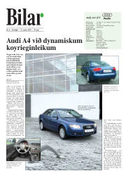 Síða 17