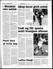 Síða 19