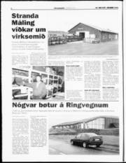 Síða 6
