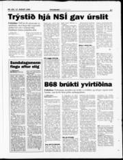 Síða 17