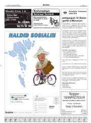 Síða 21