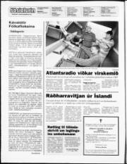 Síða 2
