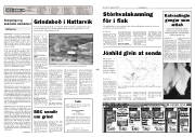 Síða 2