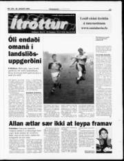 Síða 13