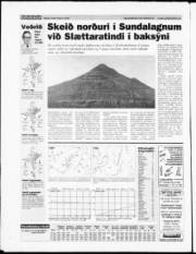 Síða 24