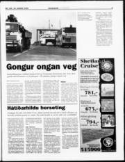 Síða 3