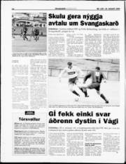 Síða 14