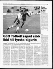 Síða 13