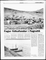 Síða 8
