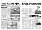 Síða 3