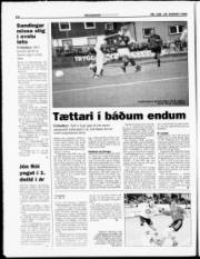 Síða 12