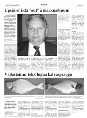 Síða 3