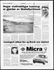 Síða 3