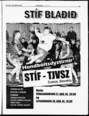 Síða 11
