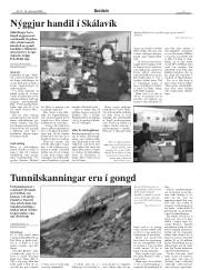 Síða 7