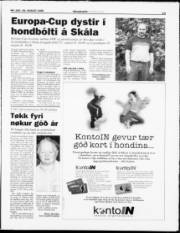 Síða 13