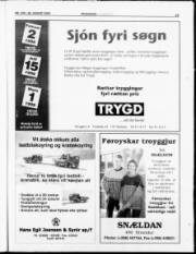 Síða 19