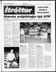 Síða 23