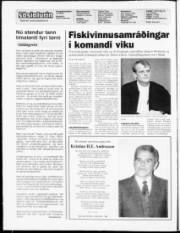 Síða 2