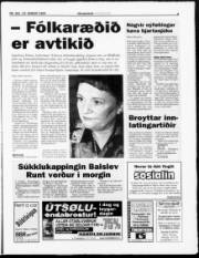 Síða 3