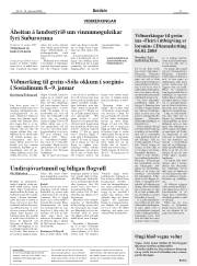 Síða 11