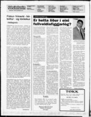 Síða 2