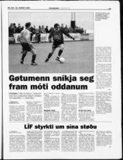 Síða 13