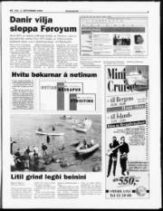 Síða 3