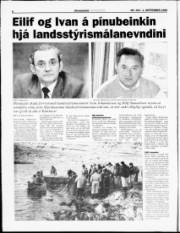 Síða 6