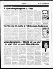 Síða 8