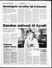 Síða 13