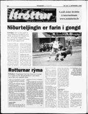 Síða 22