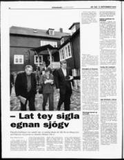 Síða 6