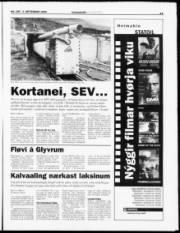 Síða 11