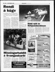 Síða 3