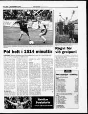 Síða 17