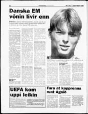 Síða 22