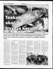 Síða 13