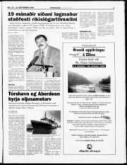 Síða 3