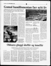 Síða 15