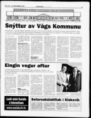 Síða 9