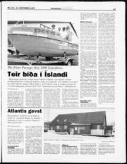 Síða 11