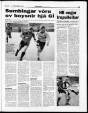 Síða 19