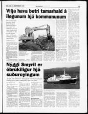 Síða 11
