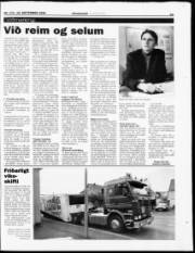 Síða 20