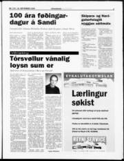 Síða 3