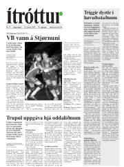 Síða 17