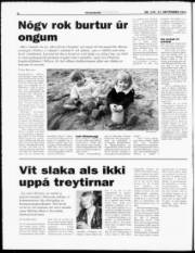 Síða 6