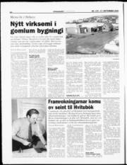 Síða 12